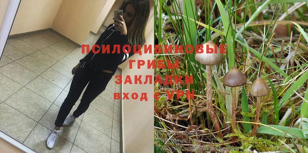 ALPHA-PVP Корсаков